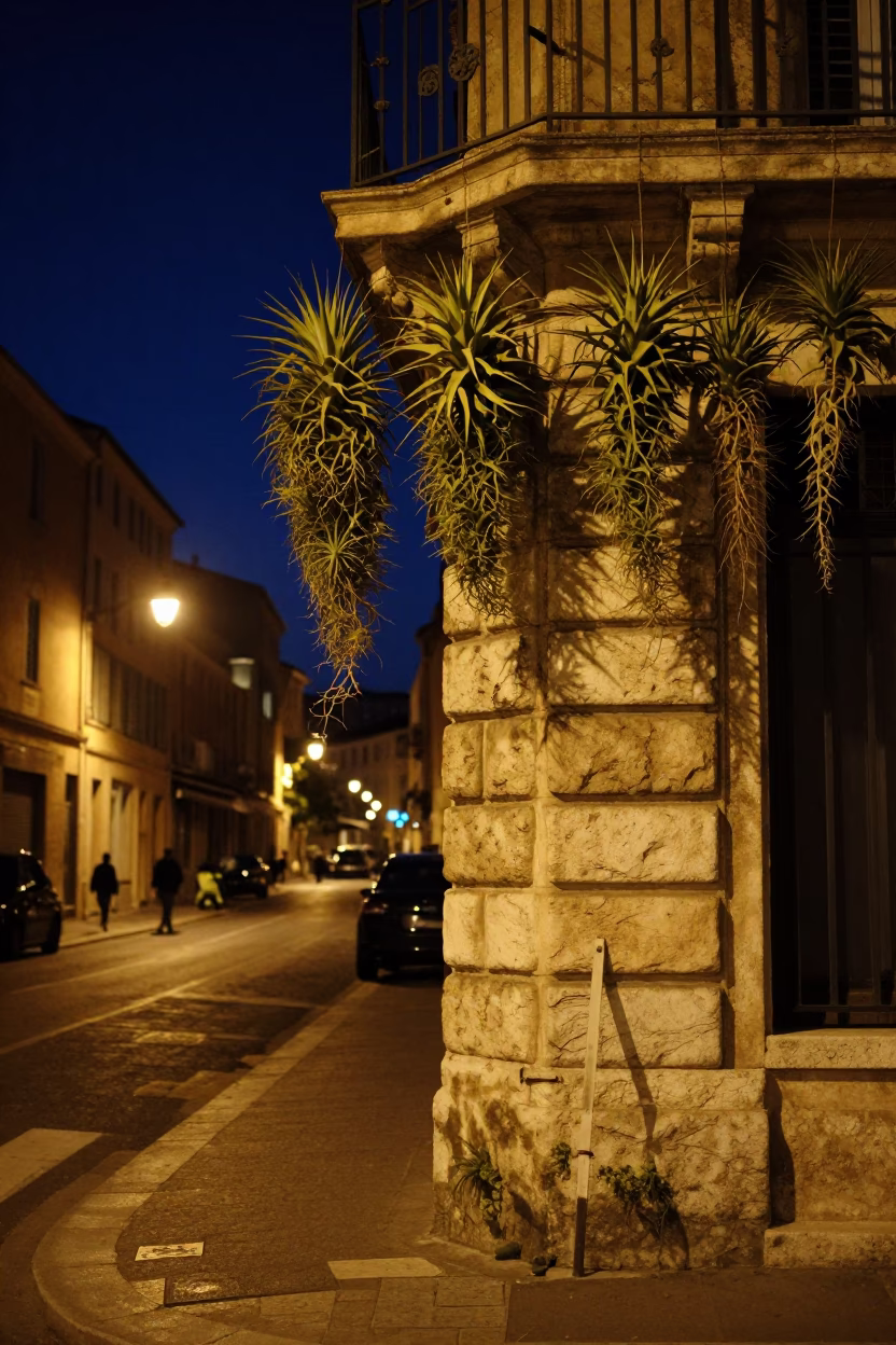 Nighttime Marseille Street Corner with Hanging Air Plant and Vintage Doormat in in Marseille, France