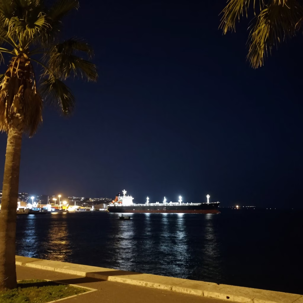Nighttime Mediterranean Coastline in Marseille France with Tanker Ship and Palm Trees in in Marseille, France
