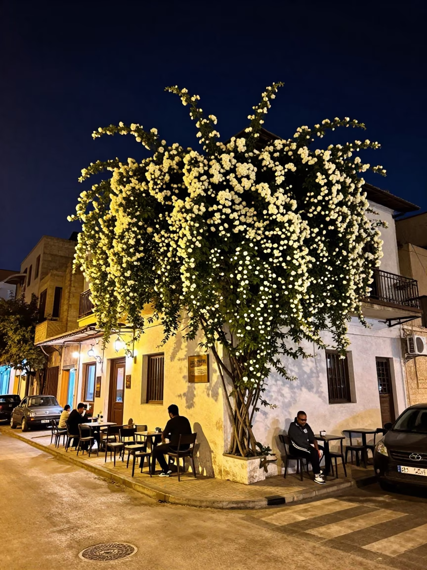 Nighttime Street Scene in Beirut Lebanon with Climbing Jasmine and Urban Life in in Beirut, Lebanon