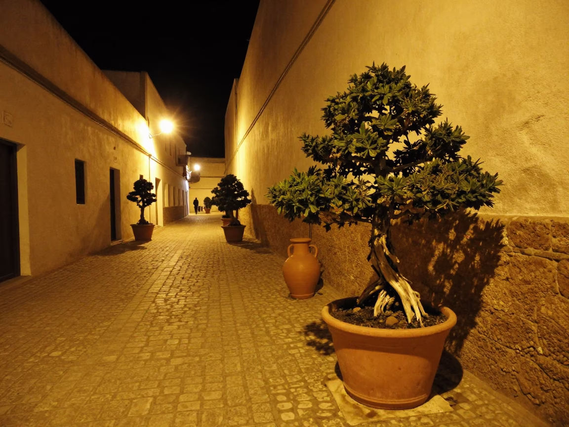 Nighttime Street Scene in Essaouira Morocco with Bonsai Juniper and Pottery Shard on Stone in in Essaouira, Morocco