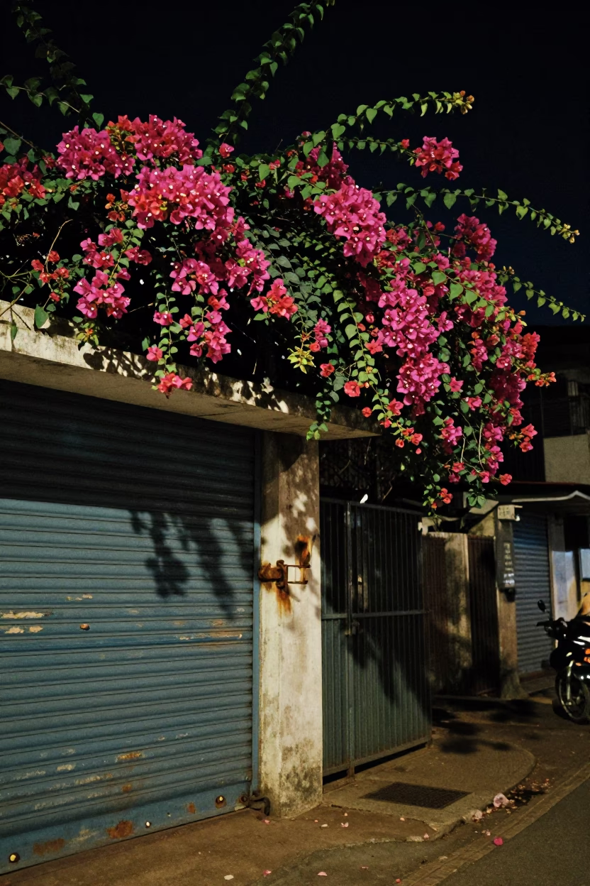 Nighttime Street Scene in Kochi India with Bougainvillea and Rusty Hinge Details in in Kochi, India
