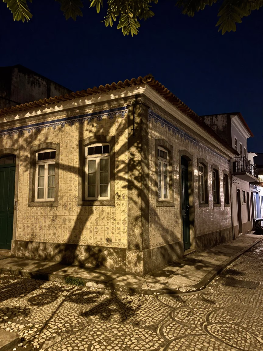Nighttime Street Scene in Salvador Brazil with Leaf Shadows on Tile in in Salvador, Brazil