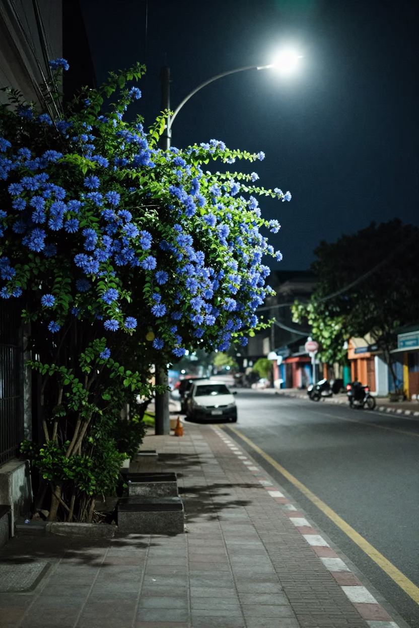 Nighttime Surabaya Street Scene with Plumbago Hedge and Local Market Activity in in Surabaya, Indonesia