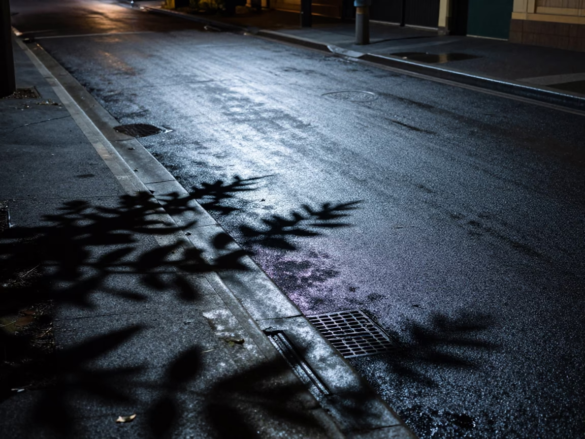 Nighttime Sydney Street Scene with Leaf Shadows on Drain and Distant City Lights in in Sydney, New South Wales, Australia