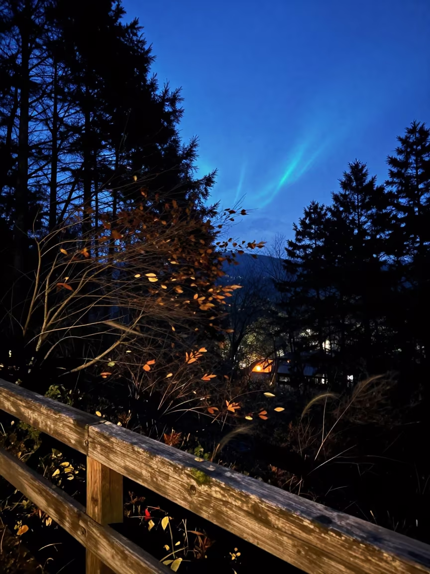 Noctilucent Clouds Over Chugoku Forest at Twilight in in Chugoku