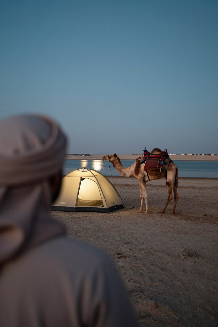 Nomad and Camel at Dusk Near Dubai Fields in near open fields near Dubai