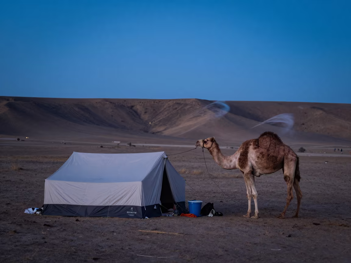 Nomad Camp Setup on Hillside at Dusk in on a hillside near Nouakchott