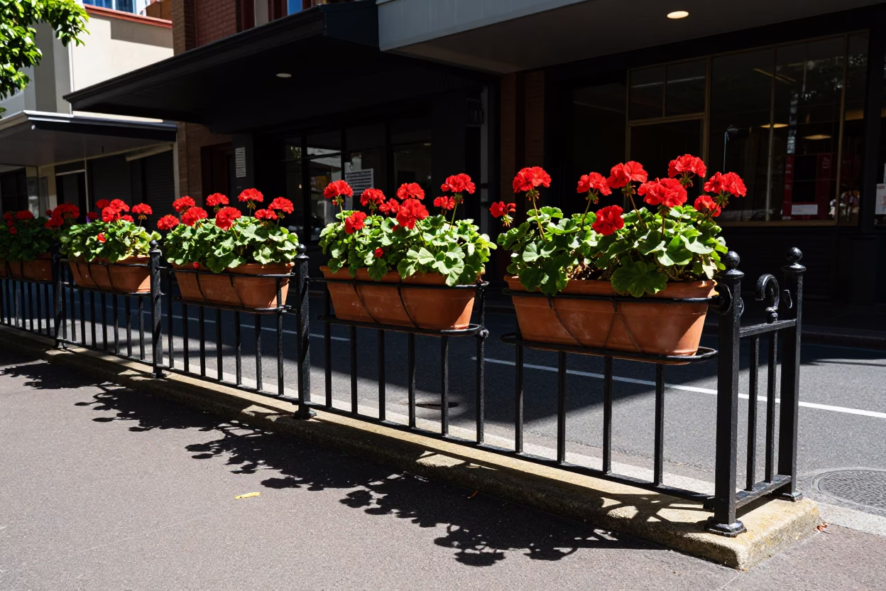 Noon Light in Adelaide at The Flat Glare Of Noon Light in in Adelaide, South Australia, Australia