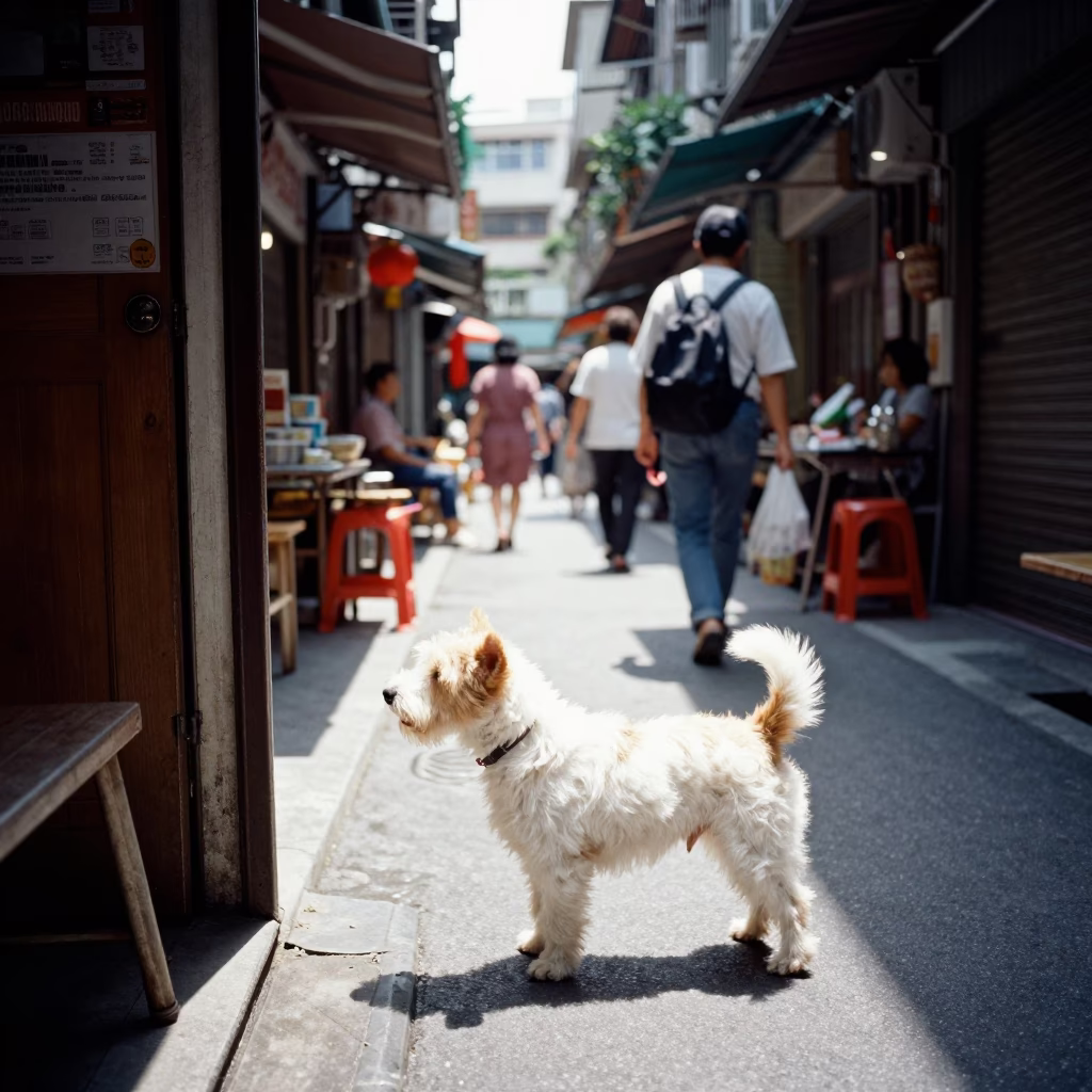 Noon Light in Taipei at The Flat Glare Of Noon Light in in Taipei, Taiwan