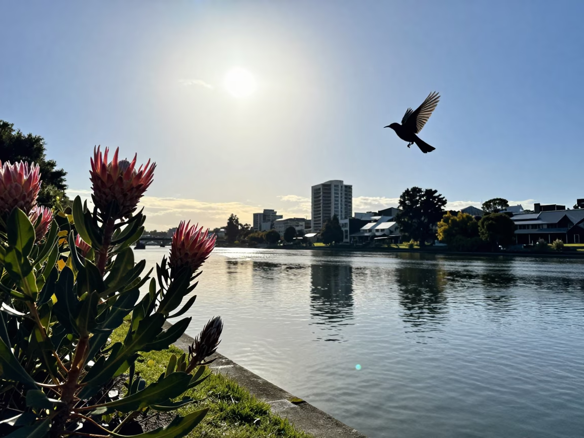 Noon Light on Christchurch Riverfront with Sunbird and Protea Flower in in Christchurch, New Zealand