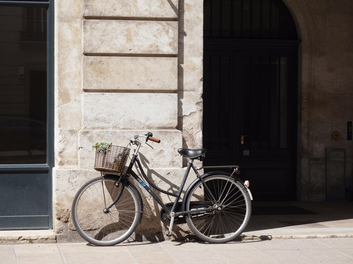 Noon light on Lyon traboules with bicycle and succulent wall in in Lyon, France