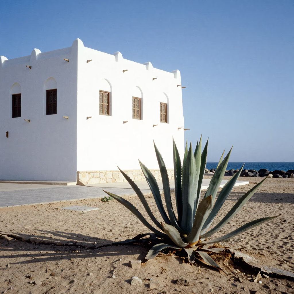 Noon Light on Muscat Coastline with Agave Plant and Coastal Highway Motorcycle in in Muscat, Oman