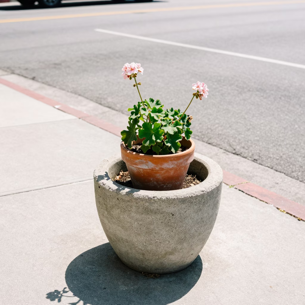 Noon Sunlight in San Diego at The Flat Glare Of Noon Light in in San Diego, California, United States