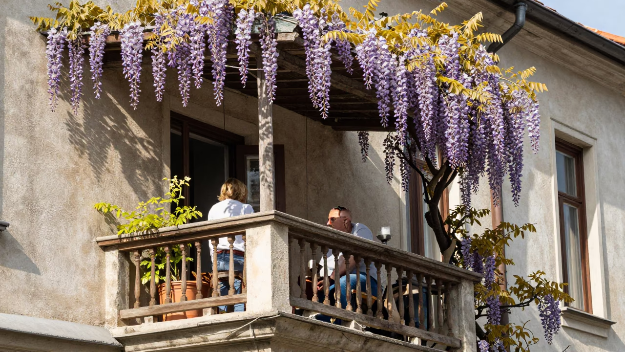 Noon Sunlight on Budapest Balcony with Wisteria and Tea Stained Frame in in Budapest, Hungary