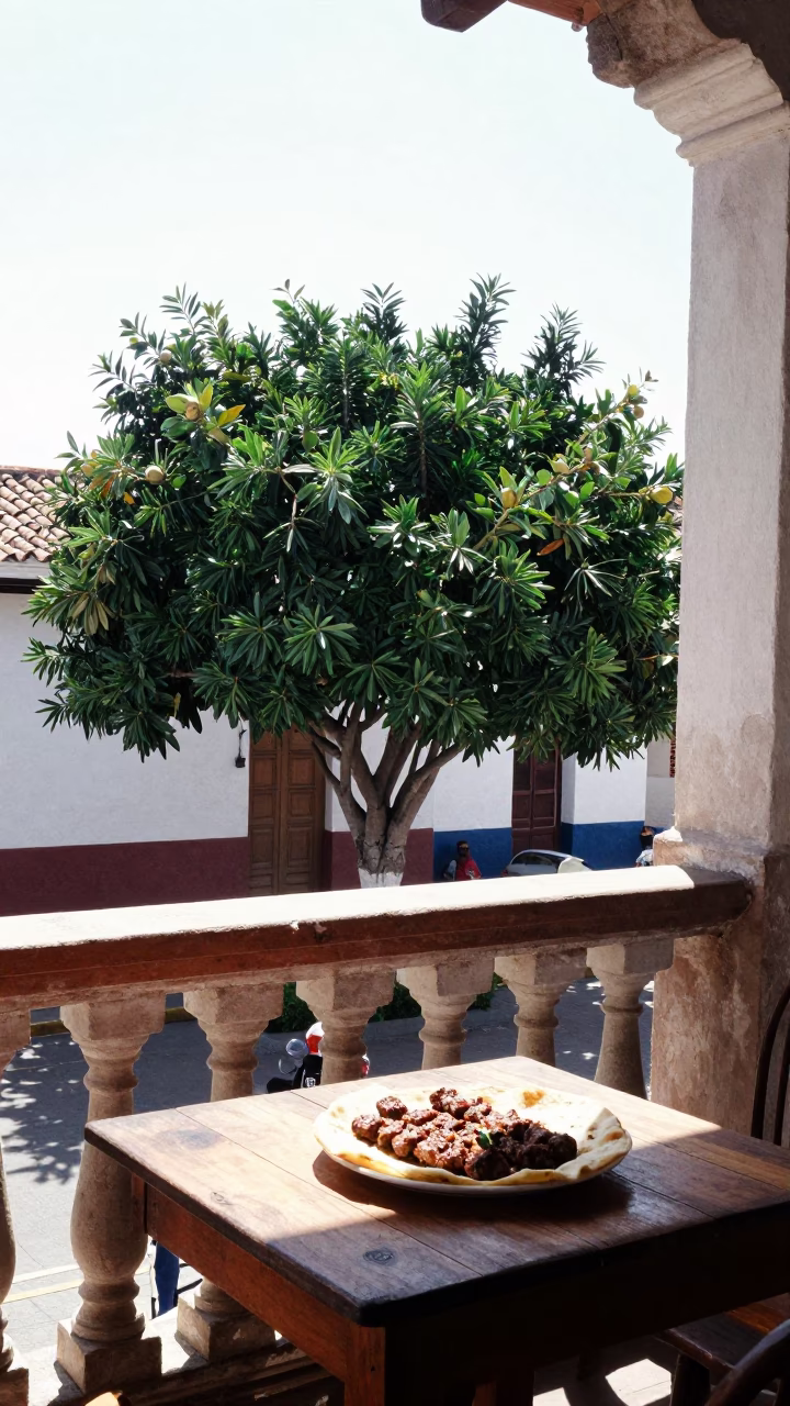 Noon Sunlight on Colonial Lima Balcony with Avocado Tree and Kebab Plate in in Lima, Peru