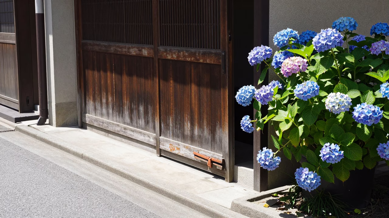 Noon Sunlight on Osaka Street with Hydrangea Bush and Traditional Porcelain Shop Display in in Osaka, Japan
