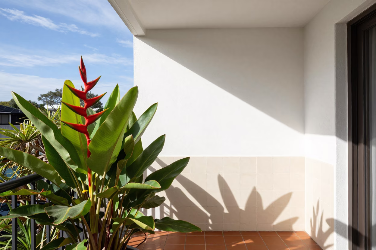 Noon Sunlight on Sydney Terrace Balcony with Heliconia Plant and Grease Stain Detail in in Sydney, New South Wales, Australia