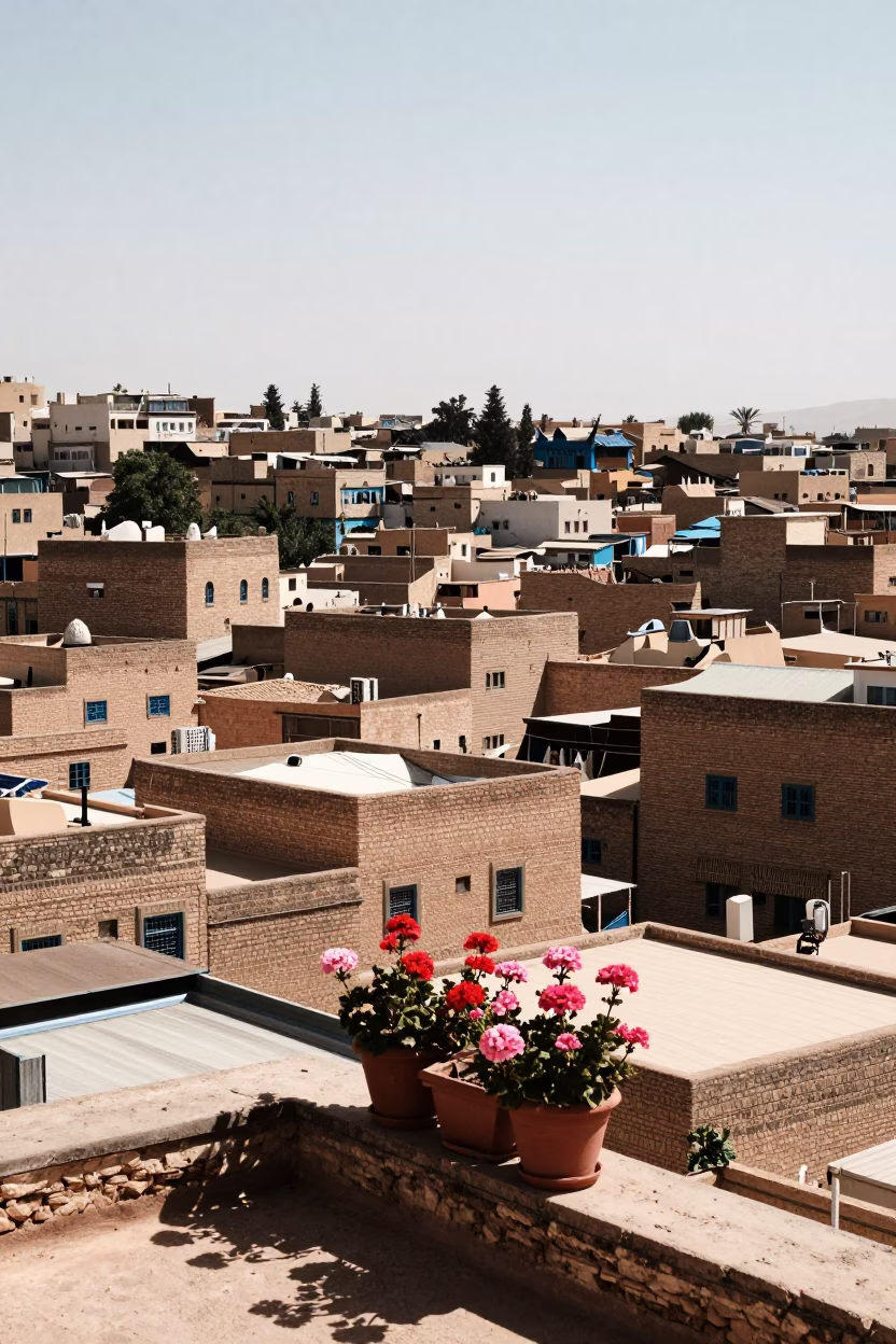 Noon Sunlight Over Fez Medina Rooftops with Potted Geraniums and Soap Residue in in Fez, Morocco