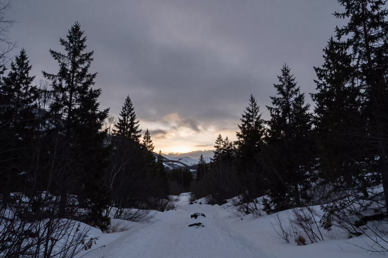 Norwegian Cedar Valley Sunset Snow Traces in across a wide valley floor in Norway