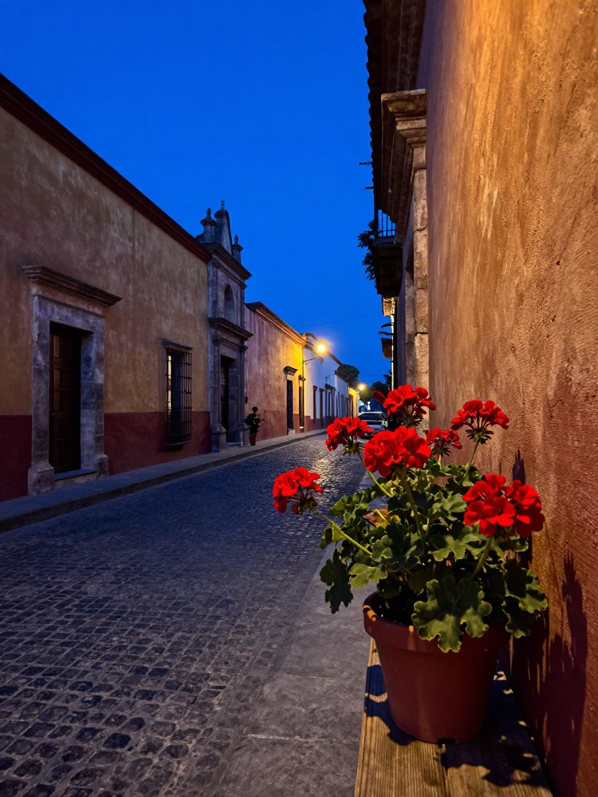 Oaxaca Mexico Twilight Street Scene With Potted Geraniums And Local Life in in Oaxaca, Mexico