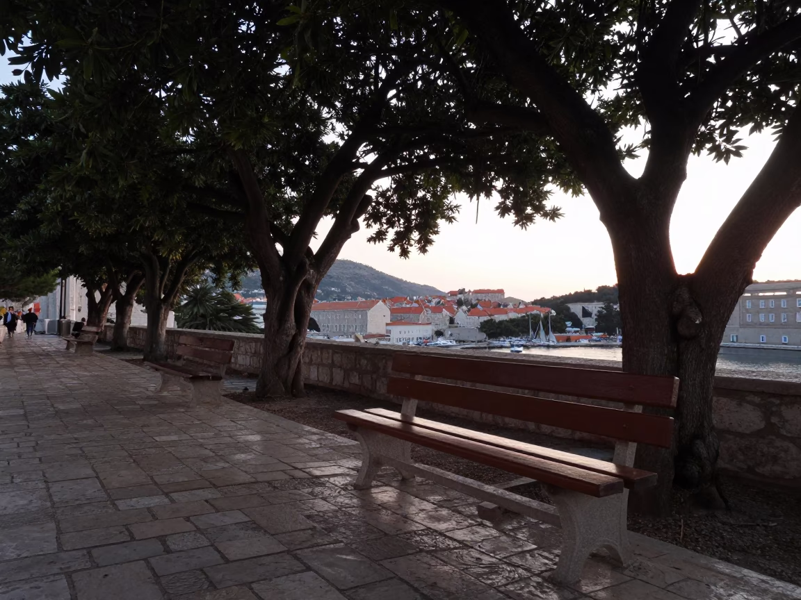 Olive Dish in Dubrovnik at First Light Of Dawn in in Dubrovnik, Croatia