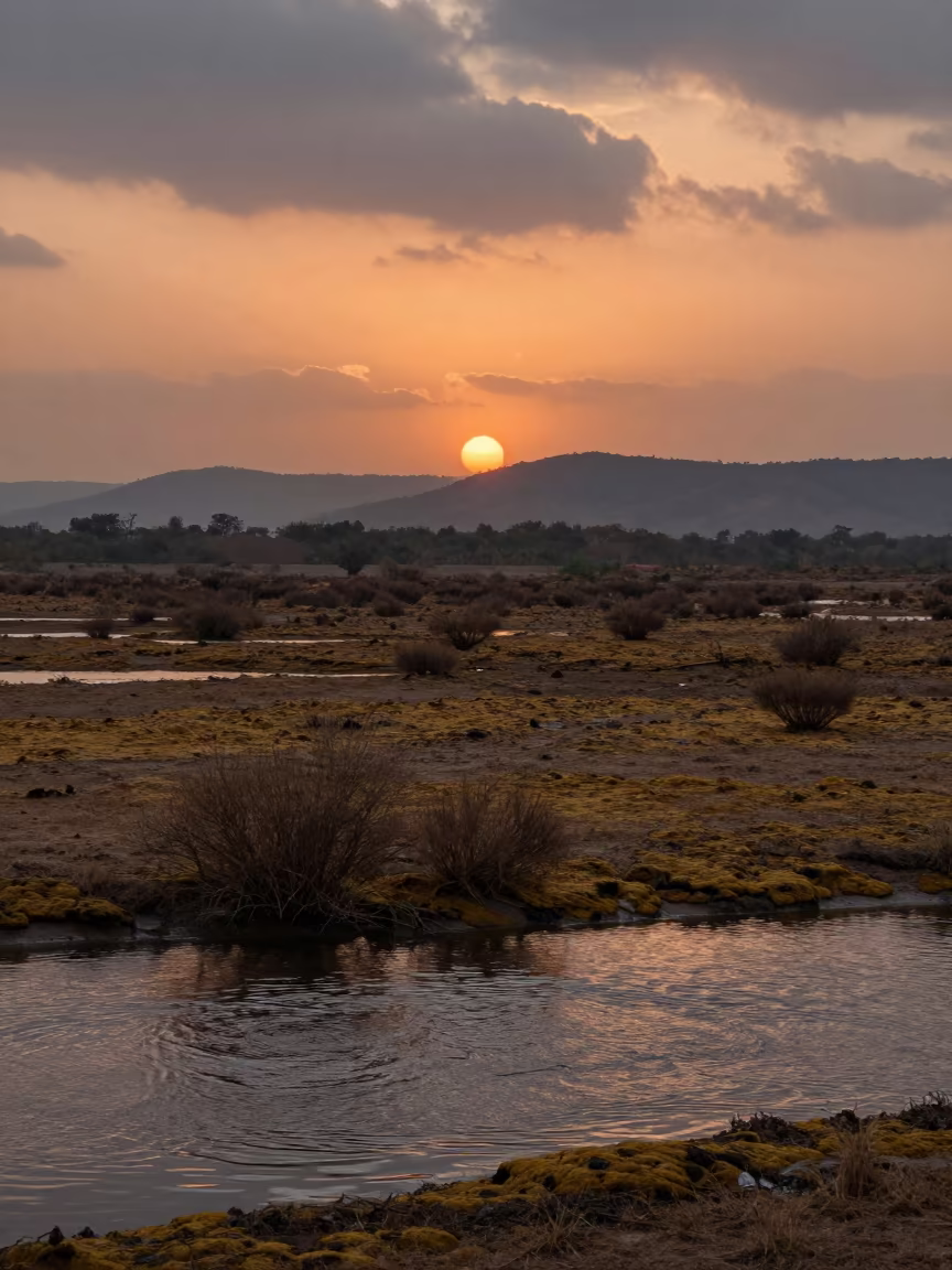 Orange Light Ripples Across Rajasthan Bog Valley in across a wide valley floor in Rajasthan