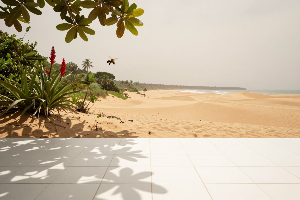 Orchid Bee Hovering Over Tile Sand Transition in on a wind-scoured ridge near Salvador