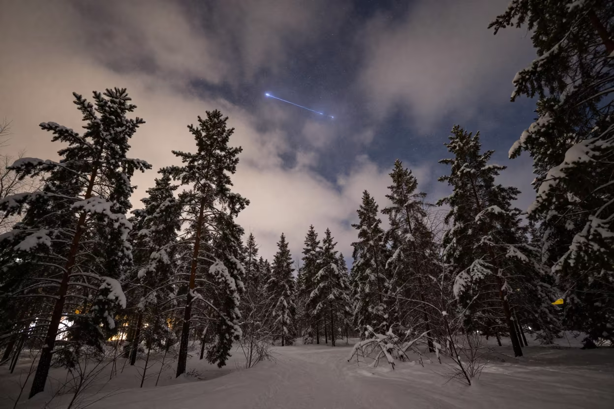 Orion Above Snowy Forest Near Helsinki in near Kallio, Helsinki