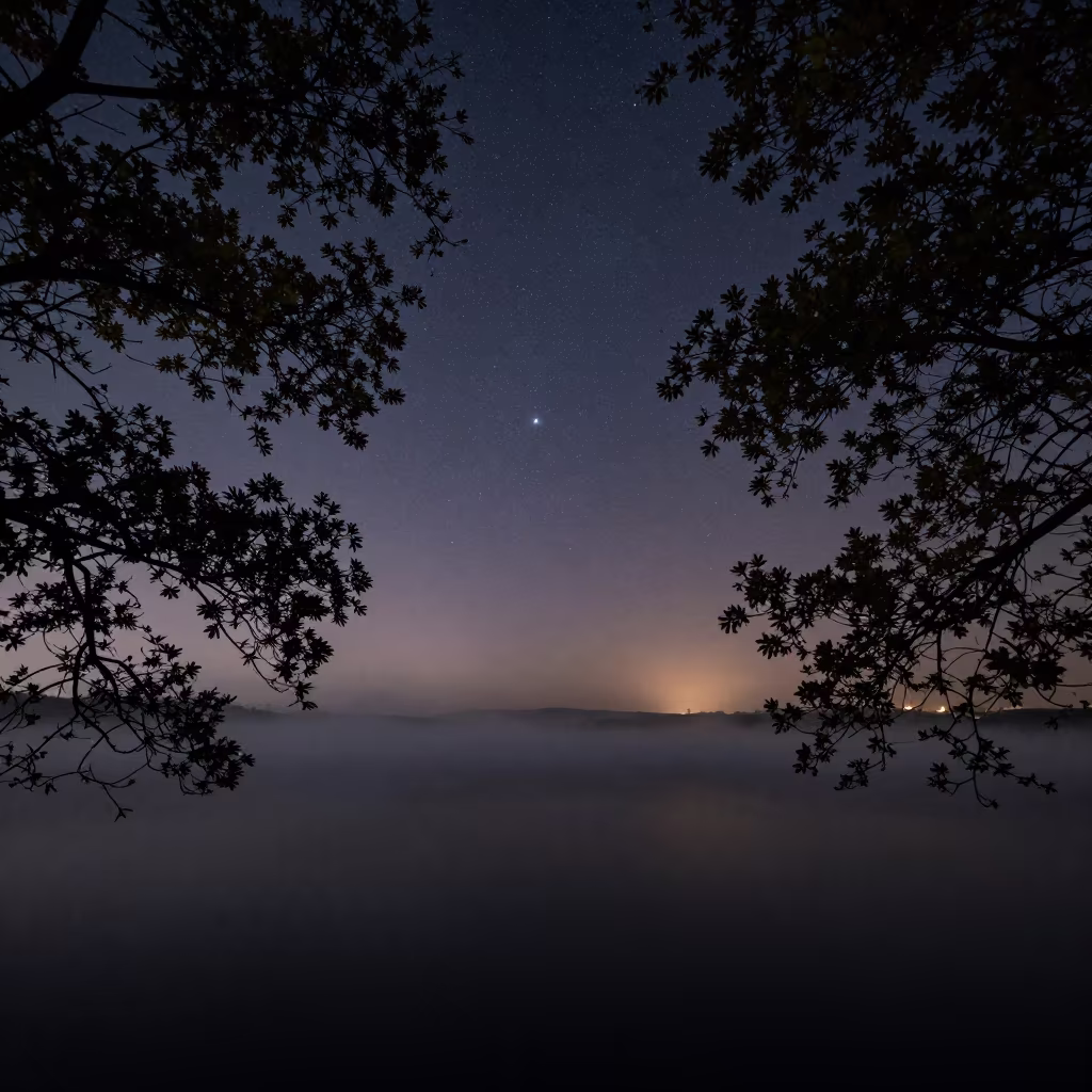 Orion Constellation Over Winter Oaks Near Gaziantep in beside dark water under a tropical sky near Gaziantep