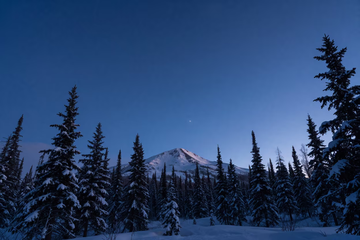 Orion Over Anchorage Alpine Forest Twilight in from a quiet alpine saddle near Anchorage