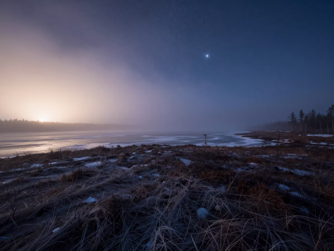 Orion Over Frozen Bog Day Night Sky in along a dark shoreline with tidal glow in Canada