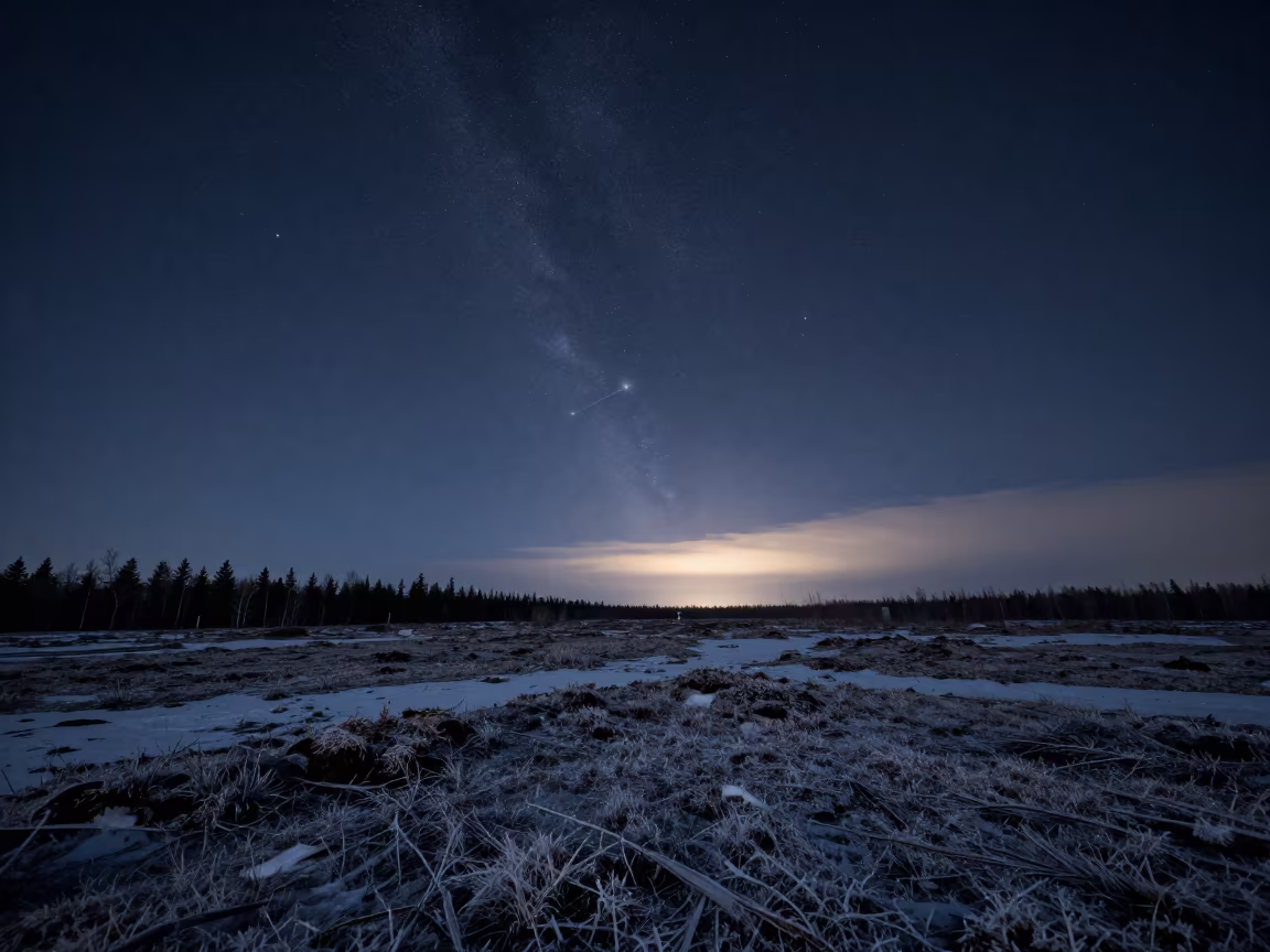 Orion Over Frozen Canadian Peat Bog at Midnight in beneath a hard winter sky over snowfields in Canada