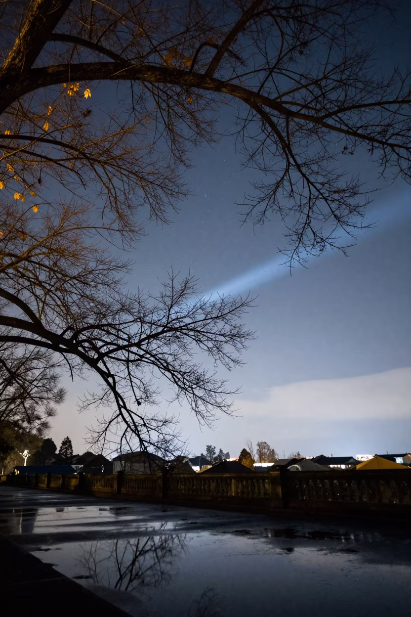 Orion Over Sichuan Winter Oak at Night in beneath a moon-washed horizon in Sichuan