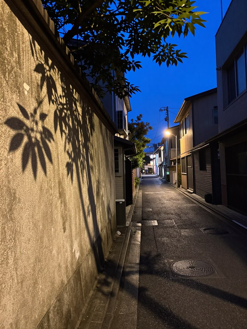Osaka Japan blue hour street scene with leaf shadows and urban details in in Osaka, Japan