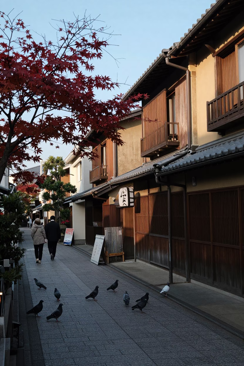Osaka Japan Late Afternoon Street Scene With Pigeons And Traditional Japanese Maple in in Osaka, Japan