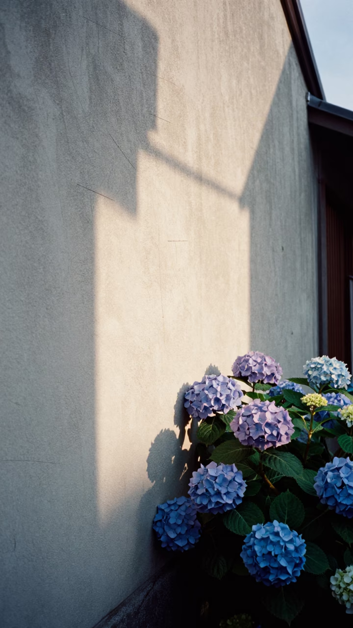 Osaka Plaster Wall at As First Light Reaches The Scene in in Osaka, Japan