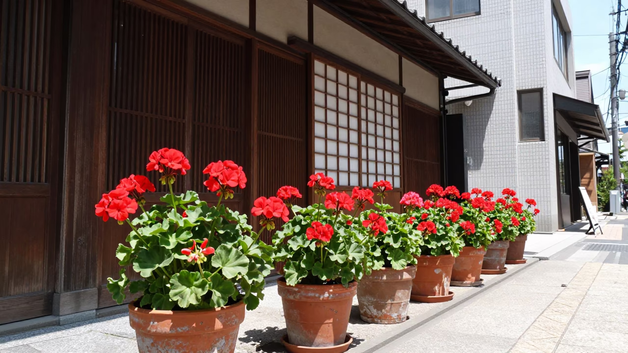 Osaka Street Scene with Geraniums and Urban Architecture at Midday in in Osaka, Japan