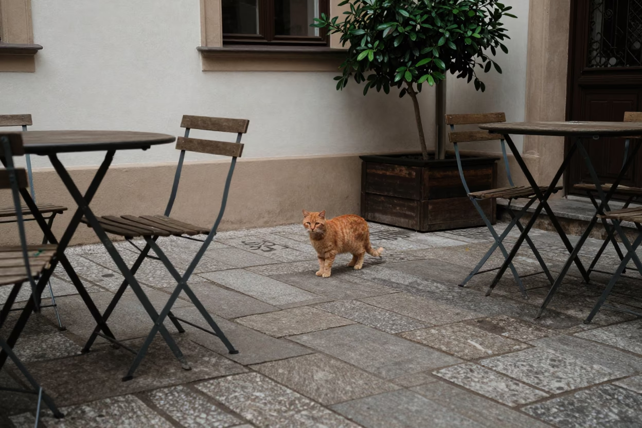 Overcast Midday in Prague with Orange Cat and Houseplant in in Prague, Czech Republic