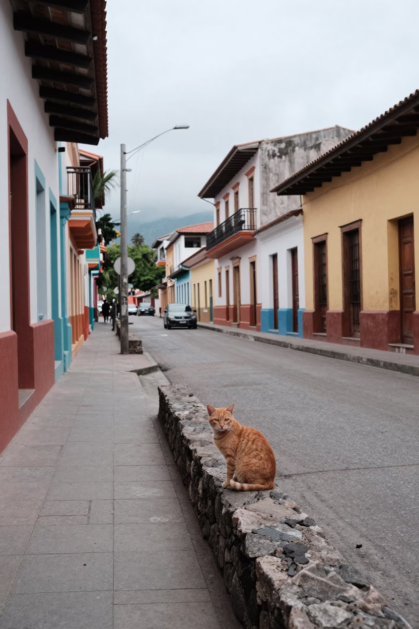 Overcast Midday Street Scene in Medellin Colombia with Orange Cat in in Medellin, Colombia