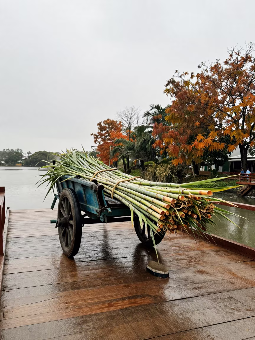 Ox Cart Sugar Cane Ferry Crossing Tainan in across a remote ferry crossing near Tainan