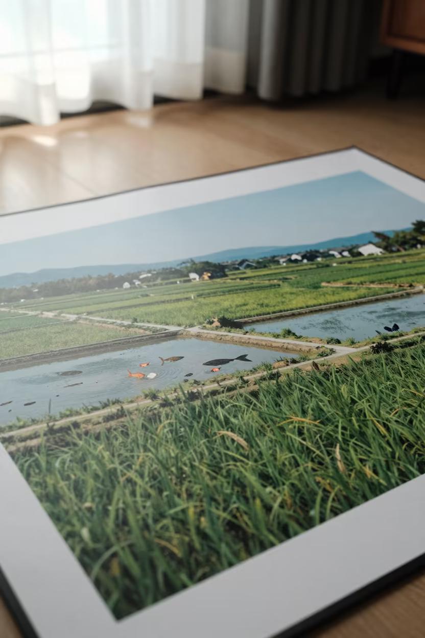 Paddy and Fish Pond Picnic in Ningbo in on a picnic blanket in Ningbo