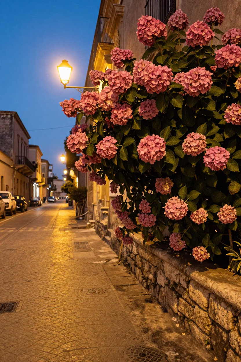 Palermo Italy Evening Street Scene with Hydrangea Bush and Wall Hook in in Palermo, Italy
