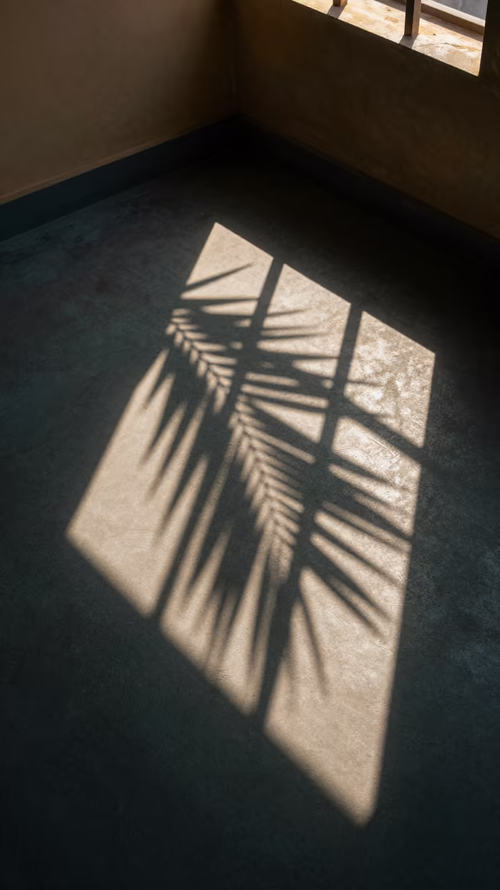 Palm Frond Shadows on Corrugated Concrete in in West Bengal