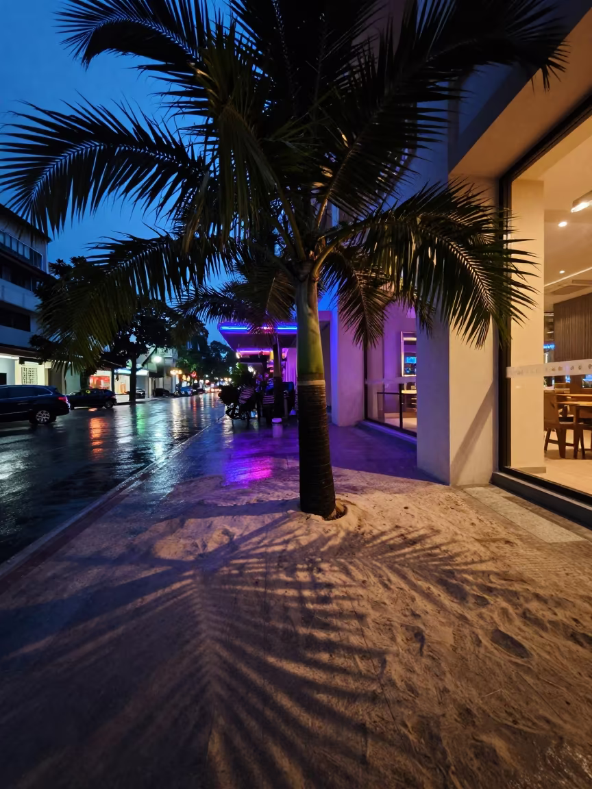 Palm Frond Shadows on Sand Indoor Neon in near District 3, Ho Chi Minh City