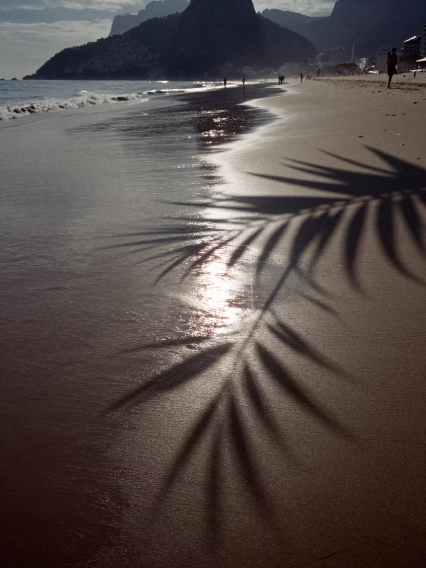 Palm Frond Shadows on Wet Sand Rio in near Rio de Janeiro