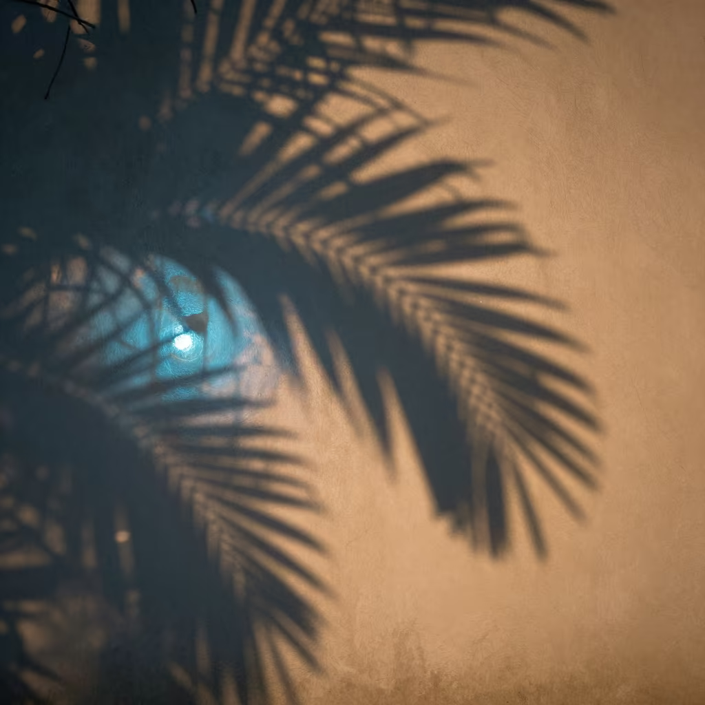 Palm Leaf Shadows on Jakarta Stucco in near Blok M, Jakarta