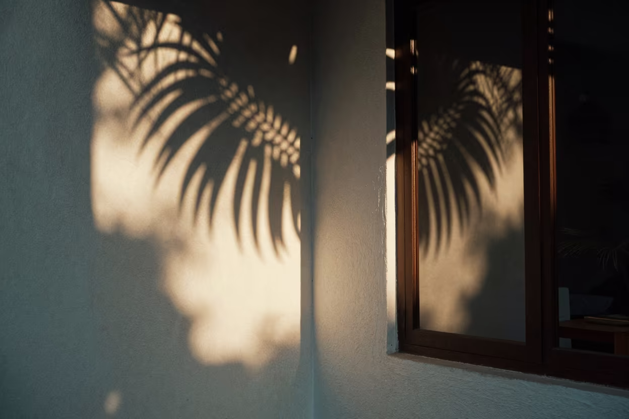 Palm Leaf Shadows on Limewashed Manila Wall in near Binondo, Manila