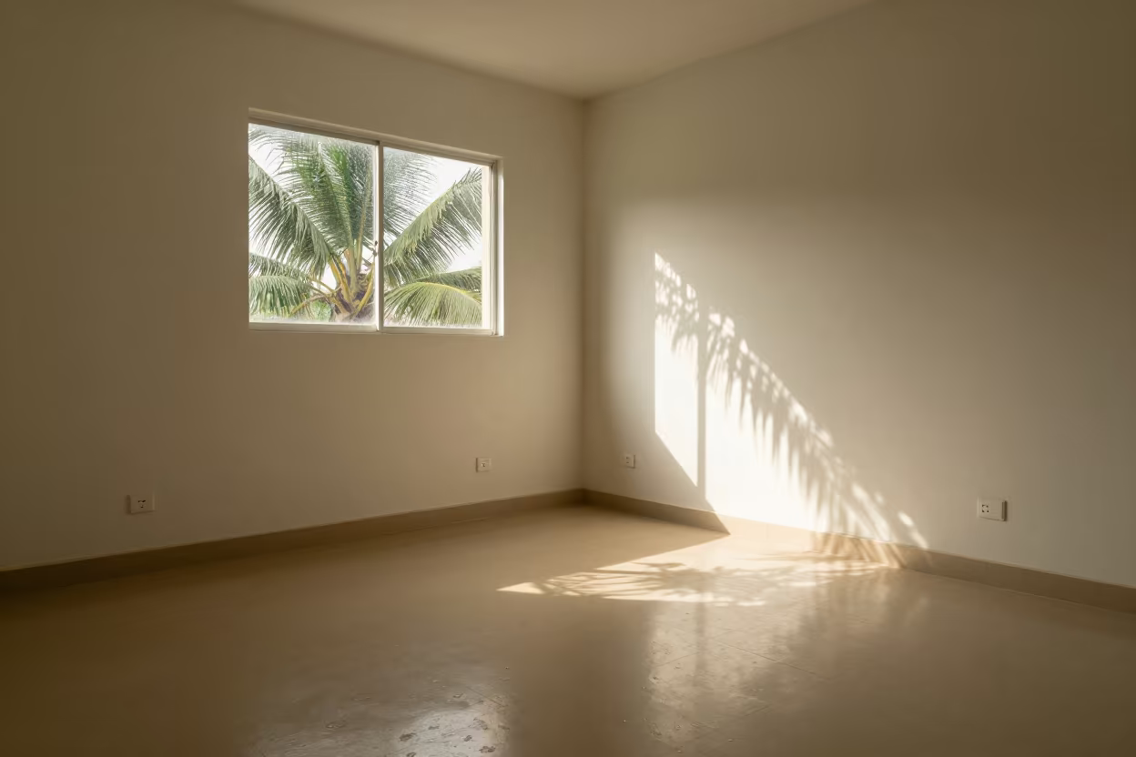 Lace Patterns of Palm Shadows on Mombasa Sand in near Mombasa