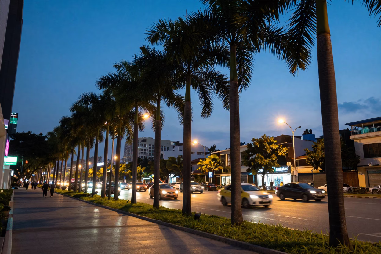 Palm Trees in Ho Chi Minh City in in Ho Chi Minh City, Vietnam