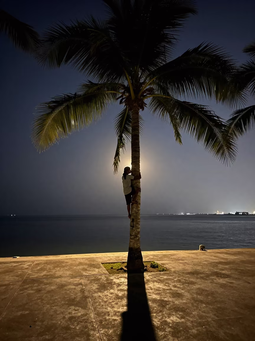 Palm Wine Tapper Climbing Tree at Ho Chi Minh Quay in at a harbor quay near District 4, Ho Chi Minh City